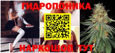 гашик Нарткала