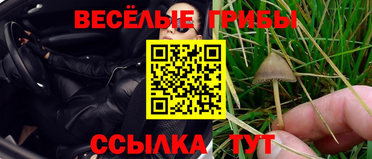 Котельники  Псилоцибиновые грибы мицелий  Вход с VPN 